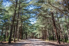 France-Provence-Luberon Trails